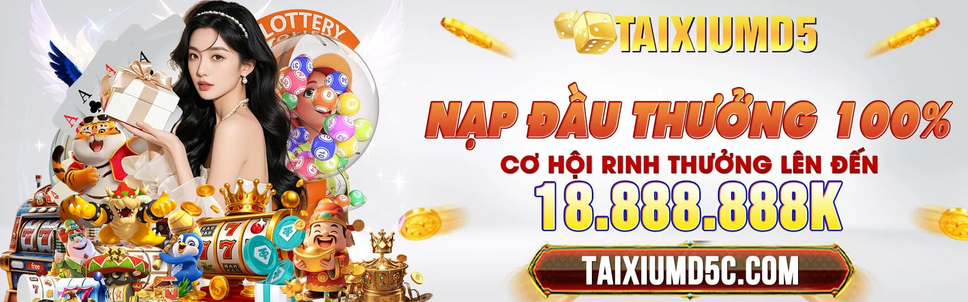 Banner taixiumd5c